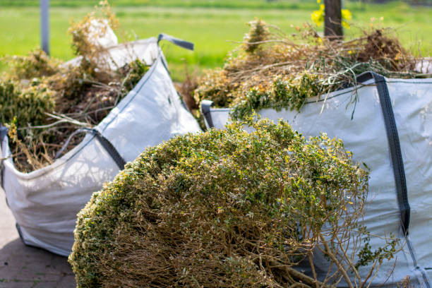 Best Local Junk Hauling  in Daniels, WV
